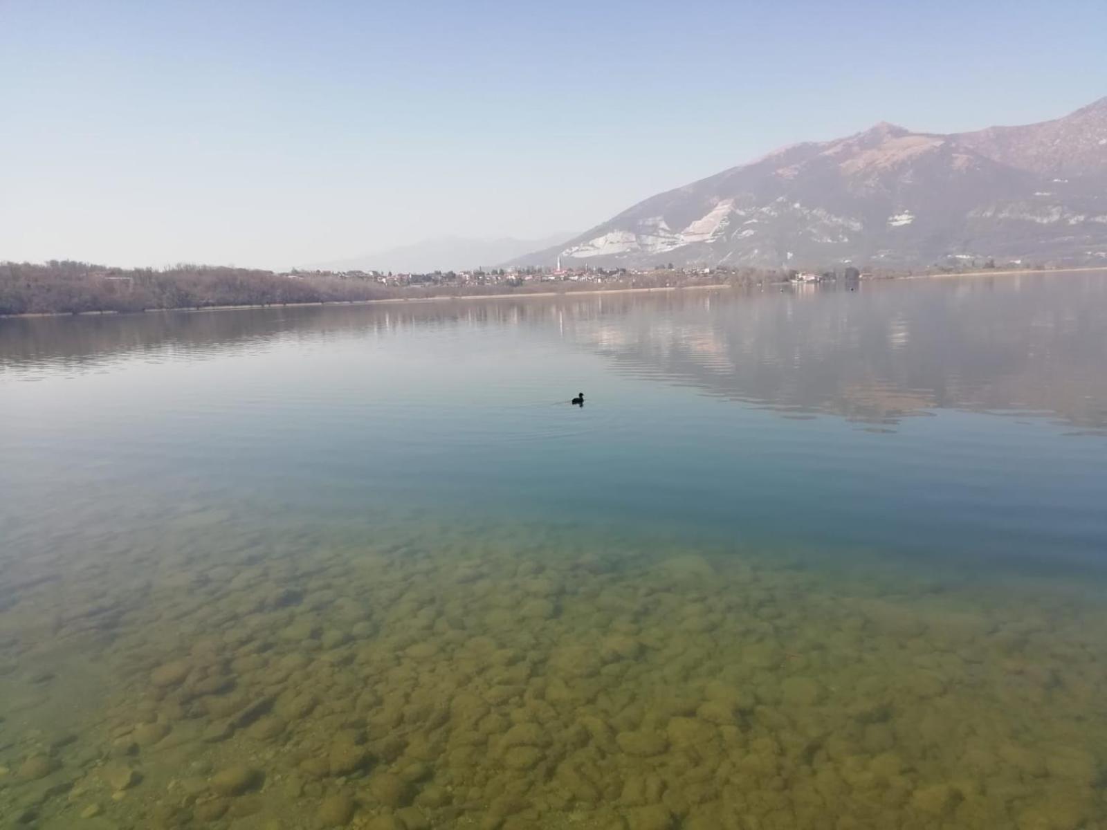 La Poesia Del Lago Oggiono Εξωτερικό φωτογραφία